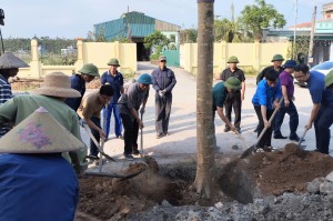 Phường Hà Khánh: Tổ chức phát động hưởng ứng trồng cây khắc phục hậu quả sau bão số 3