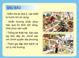 Một số lưu ý về vệ sinh môi trường và phòng chống dịch bệnh sau bão